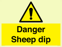 danger-sheep-dip~